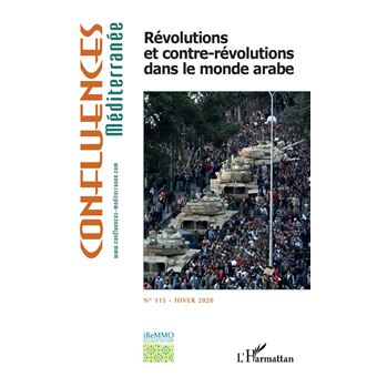 Révolutions et contre-révolutions dans le monde arabe