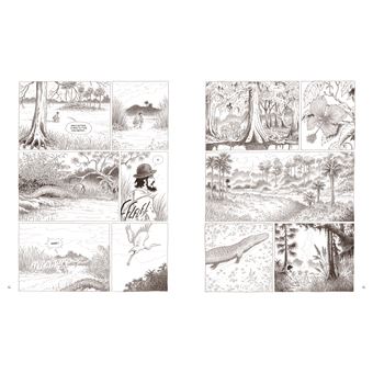 Au coeur des solitudes