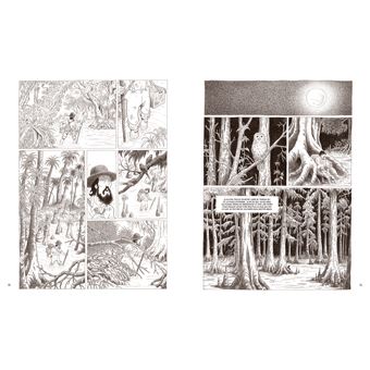 Au coeur des solitudes