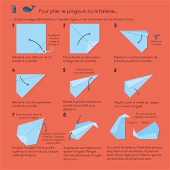 Origamis faciles - Avec plus de 60 feuilles détachables à plier