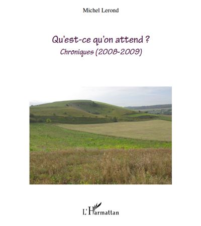 Qu'est-ce qu'on attend ? - Michel Lerond - broché