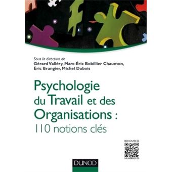 Psychologie du travail et des organisations  110 notions clés  broché