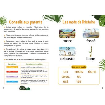 GIGANTOSAURUS - Premières lectures - CP niv 1 - Bill et le fossé