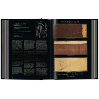 Romeyn B. Hough. The Woodbook. The Complete Plates