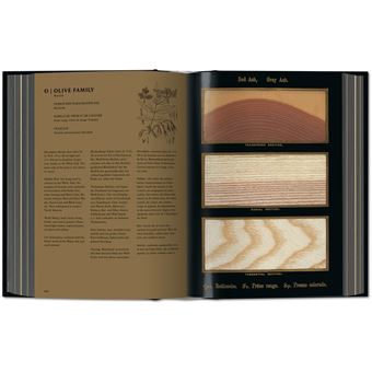 Romeyn B. Hough. The Woodbook. The Complete Plates