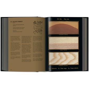 Romeyn B. Hough. The Woodbook. The Complete Plates