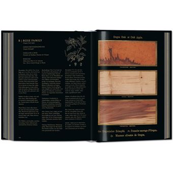 Romeyn B. Hough. The Woodbook. The Complete Plates