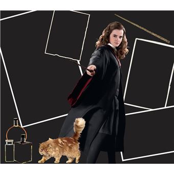 Harry Potter - Cartes à gratter Harry, Hermione, Ron