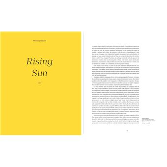 Face au soleil : un astre dans les arts