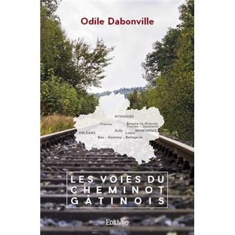 Les Voies Du Cheminot Gâtinois - Broché - Odile Dabonville - Achat ...