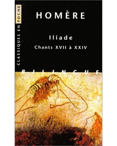 Iliade. Chants XVII à XXIV
