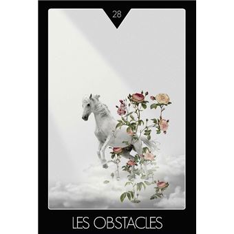 Coffret Réalise ton aspiration - Des clés pour y parvenir