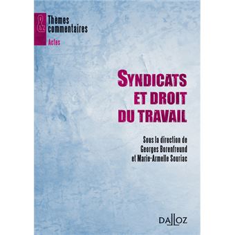 Syndicats et droit du travail Thèmes et commentaires broché