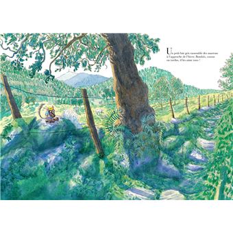 Le Loir à la théière