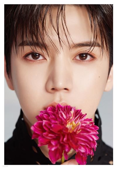 Dicon D'festa Nu'est Ren
