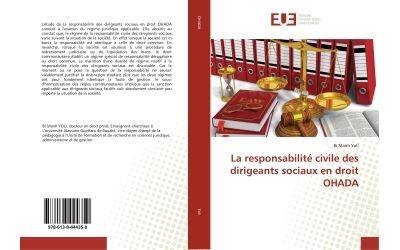 La responsabilité civile des dirigeants sociaux en droit OHADA