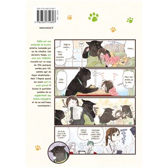 Mon chat à tout faire est encore tout déprimé