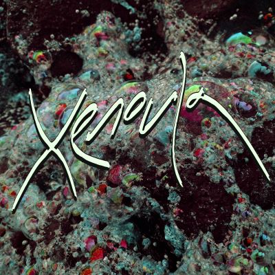 XENOULA/LP+DC