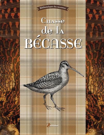 La chasse de la bécasse