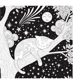Mes mandalas à peindre Esprits de la nuit