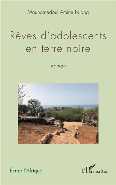 Rêves d'adolescents en terre noire - Mouhamédoul Amine Niang - broché