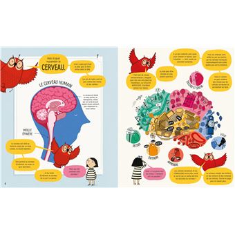 Le cerveau - Mon grand livre illustré