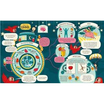 Le cerveau - Mon grand livre illustré