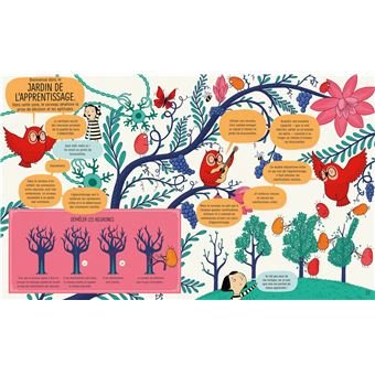 Le cerveau - Mon grand livre illustré