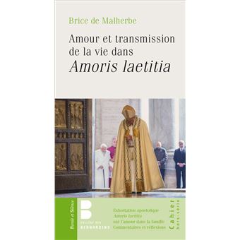 Amour Et Transmission De La Vie Dans Amoris Laetitia Broch Brice De Malherbe Achat Livre