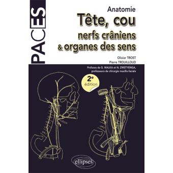 Anatomie tête, cou, berfs craniens et organes des sens - 1