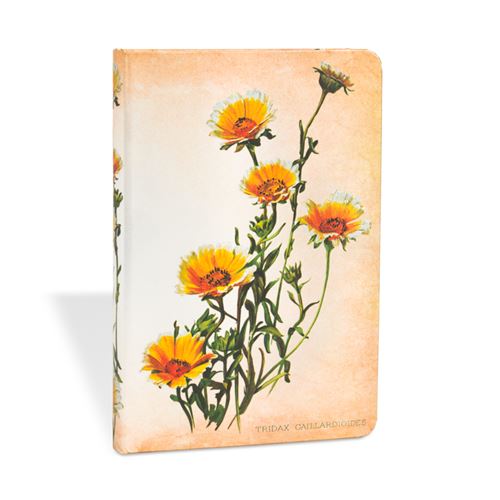 PAPERBLK CARN PLANTE MARGUERIT MINI LGN