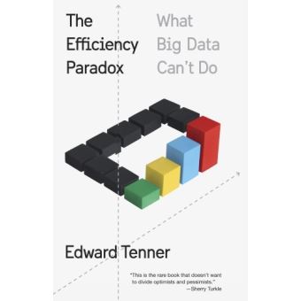 THE EFFICIENCY PARADOX