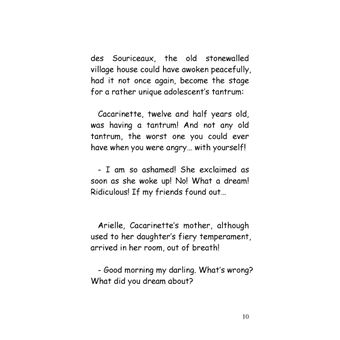 Cacarinette in Provence. The Secret of Christmas