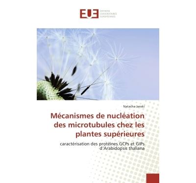 Mécanismes de nucléation des microtubules chez les plantes s