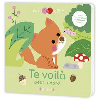 Te voilà petit renard !