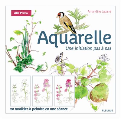 Aquarelle, une initiation pas à pas