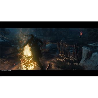 Ghost of Tsushima Director's Cut PS4