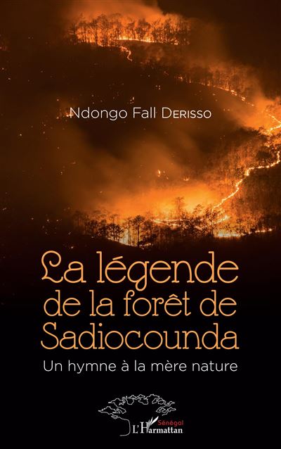La légende de la forêt de Sadiocound - Ndongo Fall Derisso - broché