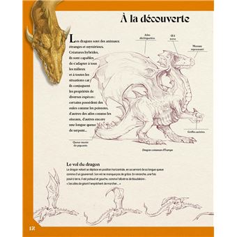 Mon grand livre du dessin fantasy