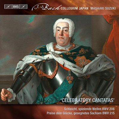 SECULAR CANTATAS VOL.8/LP