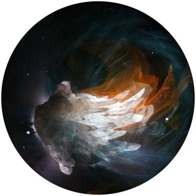 Lights - 180 gr - Vinyl blanc - Inclus coupon MP3