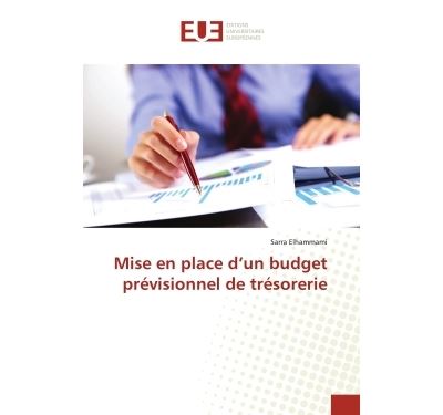 Mise en place d'un budget prévisionnel de trésorerie
