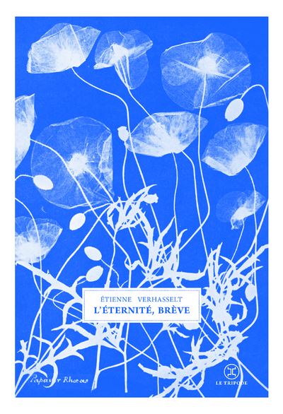 L'éternité, brève - Etienne Verhasselt - broché
