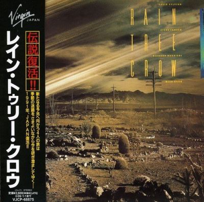 Rain tree crow/pochette cartonnee