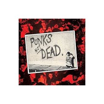 Фото punks not dead