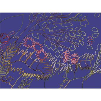 L'art à la manière du Douanier Rousseau - Cartes à gratter  - pochette avec accessoires