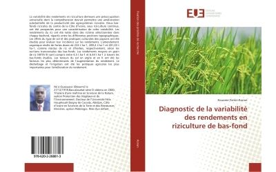 Diagnostic de la variabilite des rendements en riziculture d