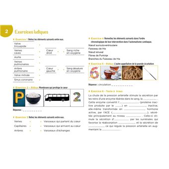 Diplôme Infirmier - IFSI - Cartes mentales - UE 2.2 - Cycles de la vie