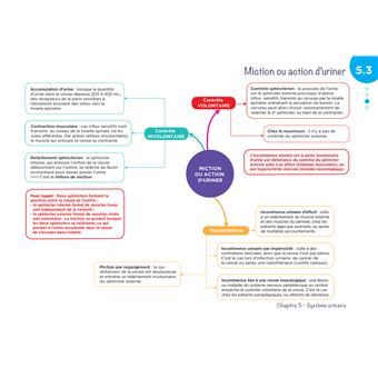 Diplôme Infirmier - IFSI - Cartes mentales - UE 2.2 - Cycles de la vie