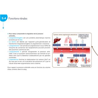 Diplôme Infirmier - IFSI - Cartes mentales - UE 2.2 - Cycles de la vie